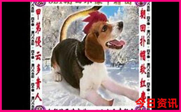 去黑龙江旅游必去的景点